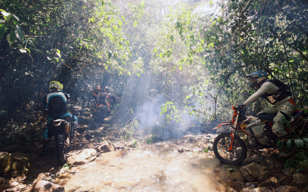 Andean Paradise Expedition